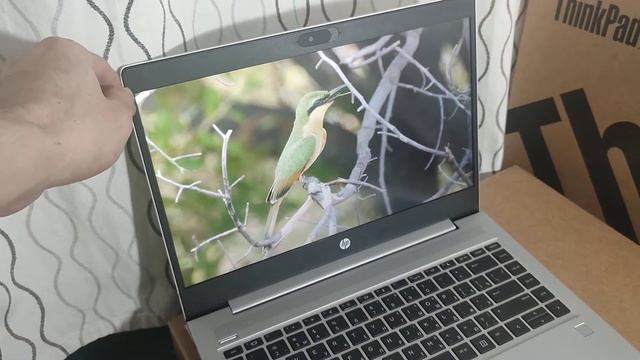 hp laptop probook 445 g7 смотреть онлайн