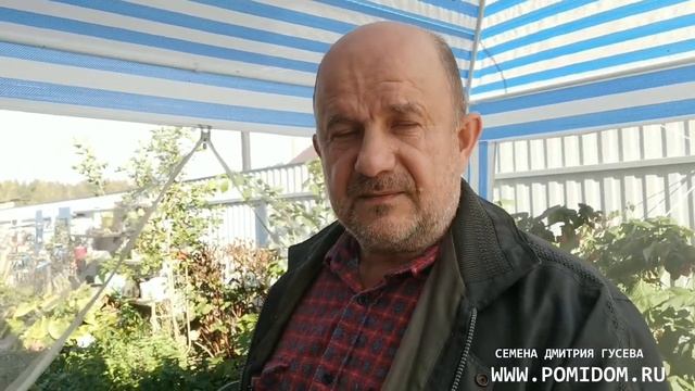 Мульчирование почвы по Евангелию. Истоки мульчирования, или всё уже придумали до нас смотреть онлайн