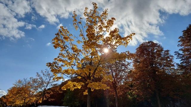 Прощальный танец Природы. исп.Lauren Christy(1994).Herbst im Lippstadt. смотреть онлайн