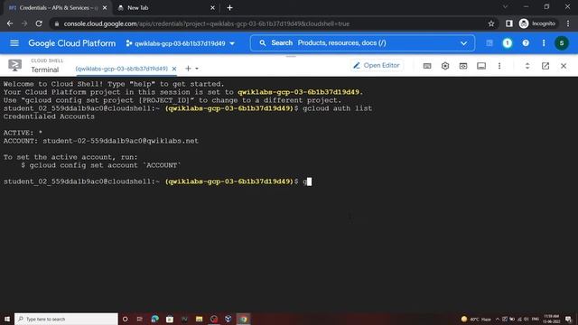 Translate Text with the Cloud Translation API || [GSP049] || Solution смотреть онлайн