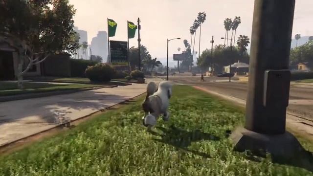 how to find animal plants on GTA V part 6 смотреть онлайн
