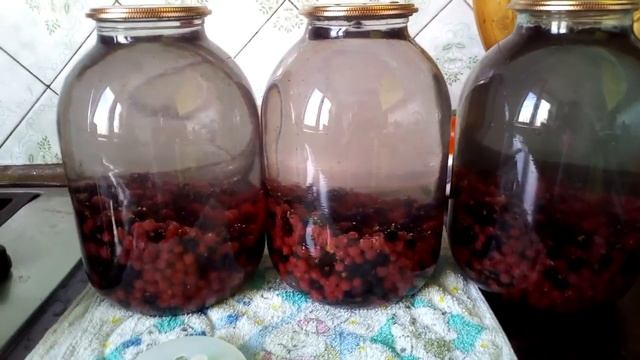 Компоп из красной и черной смородины смотреть онлайн