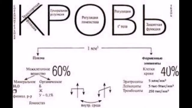 Опорный конспект смотреть онлайн