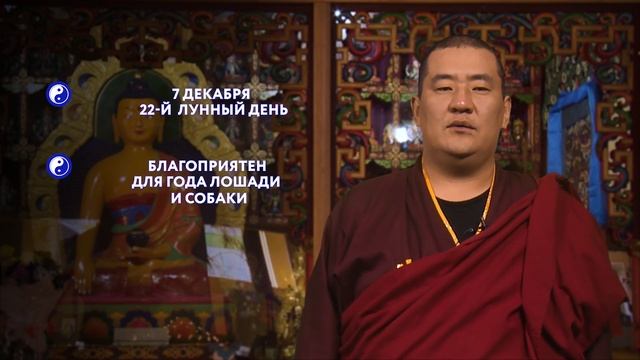 ЗУРХАЙ на 07.11.2020 смотреть онлайн