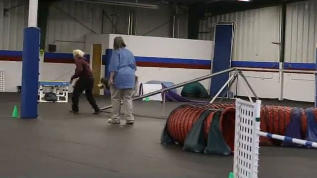 2nd place "in the zone" Standard run with Bootstrap смотреть онлайн