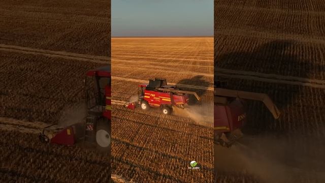 Мой авторский агро блог о сельском хозяйстве Казахстана. Инстаграмм @kz_agro. Там много интересног смотреть онлайн