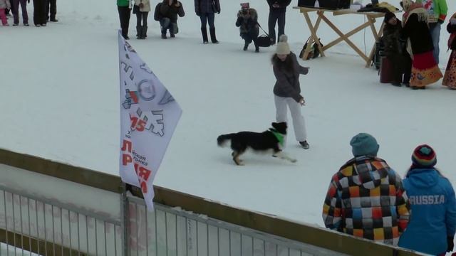 Дыхание зимы 2015 собачий вальс. смотреть онлайн