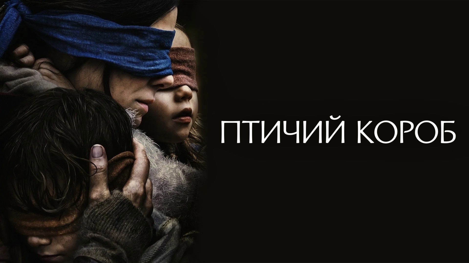 Птичий короб (2018)