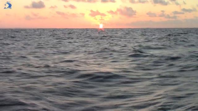 Tenerife - Cabo Verde =NO STRESS смотреть онлайн