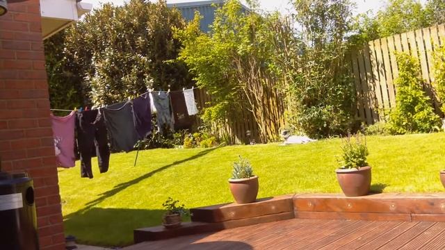 Raspberry Pi Camera Module Time Lapse смотреть онлайн