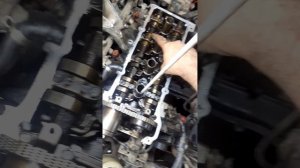 ниссан блюмберг силфи выставляю цепь грм.