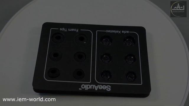 مراجعة سماعة SeeAudio Bravery ومقارنة سريعة مع Fiio FH9 // عالم السماعات смотреть онлайн