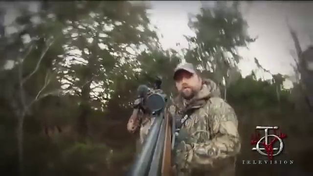охота на кабана пневматика!!!! смотреть онлайн