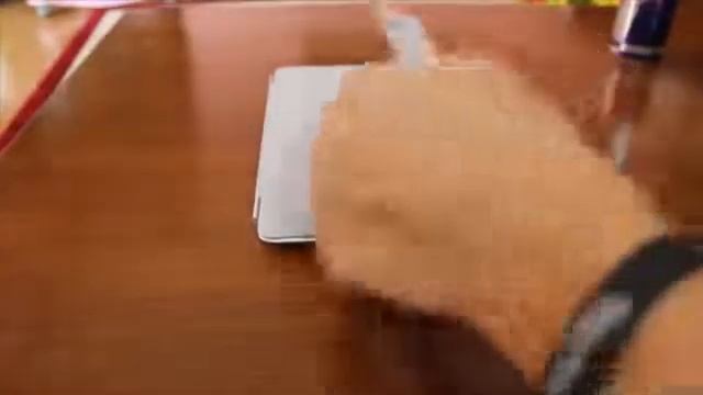 Yeni iPad Gereksiz Testler Part1 Buzbolabı ve Mikrodalga (3D) смотреть онлайн
