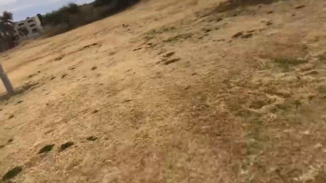 INSANE 50 YARD DART THROW!!! смотреть онлайн