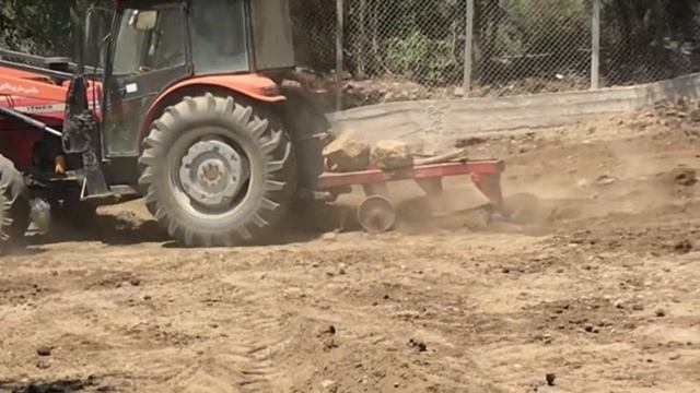 Stages of planting Paulownia _ Show growth of Paulownia in 90 days _ kiri tree смотреть онлайн