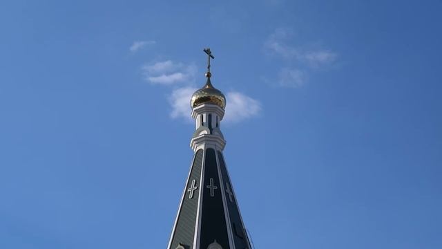 Резиденция Королей в Калининграде смотреть онлайн