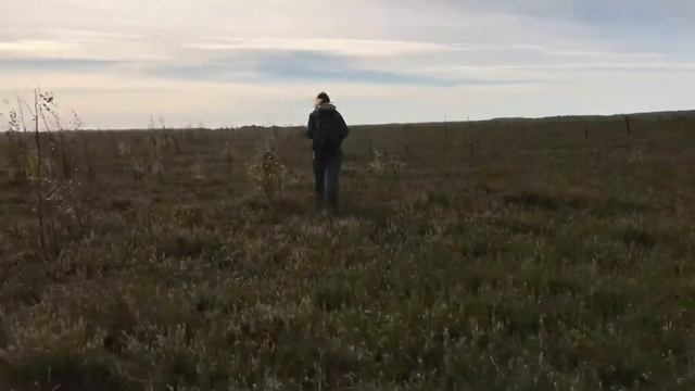 ПРОГУЛКА ПО БОЛОТУ||БОЛОТО ЦЕЛАУ смотреть онлайн