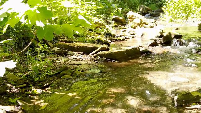 Звонкий шум воды — ручей и камни — пение птиц смотреть онлайн