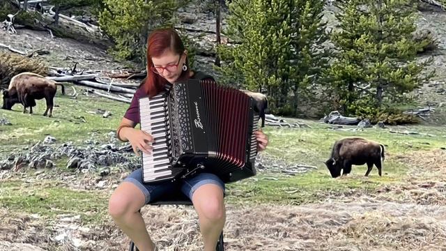 Minor Swing Django Reinhard #accordion #accordionmusic #music #djangoreinhardt смотреть онлайн