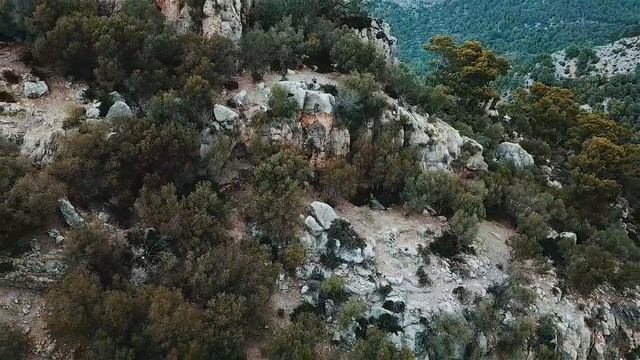 Влог #63 ч.1 Что посмотреть на Майорке. Аренда машины в Испании. Путешествие с собакой. Влог. смотреть онлайн