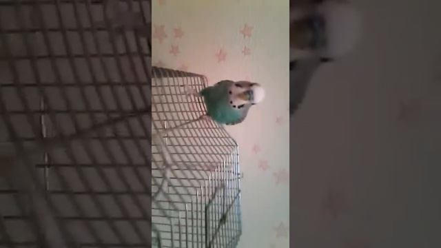 Как я забочусь о своём Кирюше!! смотреть онлайн