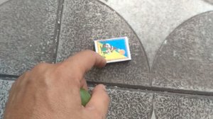 Вива Айка-Виктория Румынская.Белый крупноплодный и не прихотливый сорт винограда.