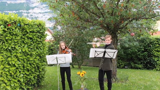 Ave maria- violin and flute смотреть онлайн
