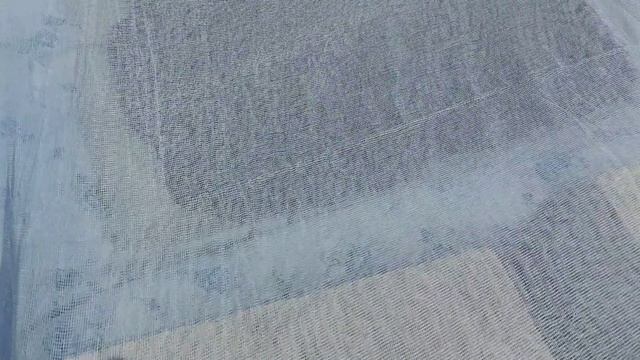 Пастила из шелковицы на солнце смотреть онлайн