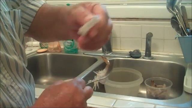How To Devein Shrimp Using One-Stroke Of The Fork. No Knife Needed. смотреть онлайн