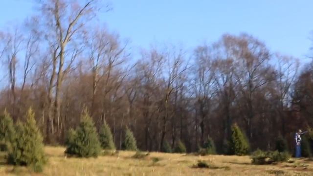 США Рождество Едем за елкой на ферму Gaver Farm смотреть онлайн
