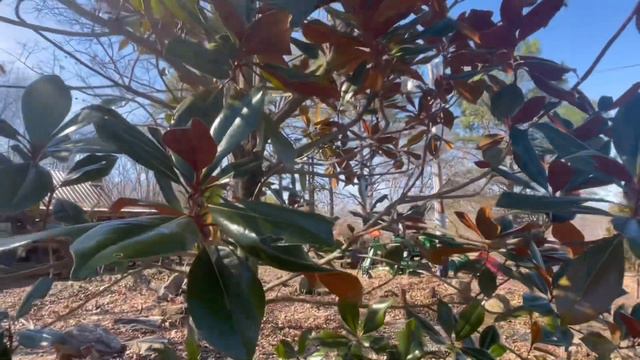 What to Paint? Finding Artistic Inspiration in Nature! смотреть онлайн