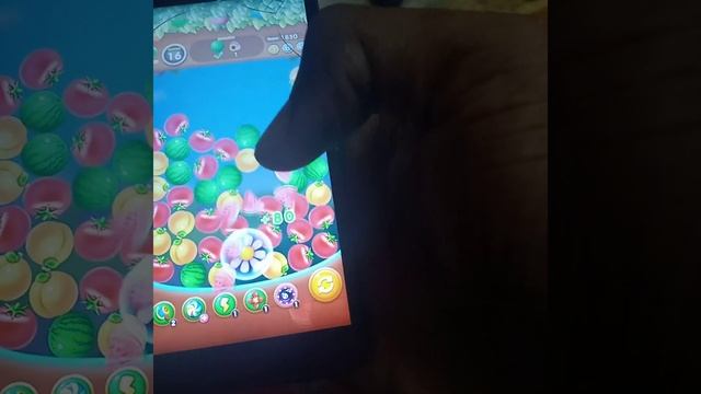 Fruit Crush Games смотреть онлайн