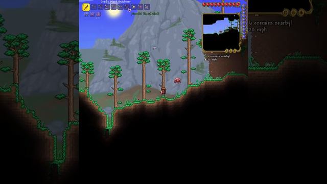 The Guide to Terraria Alcohol use- Terraria смотреть онлайн