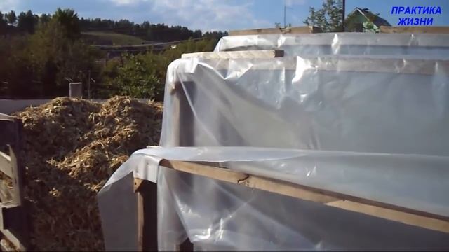 ПАРНИК РАКУШКА СВОИМИ РУКАМИ ЛЕГКО И ДЁШЕВО смотреть онлайн