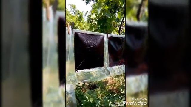 Ответ на вопрос о спорте