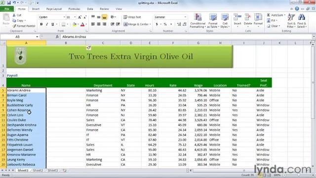 0901 Splitting cell data into multiple cells. Excel training tutorial Part 51 смотреть онлайн