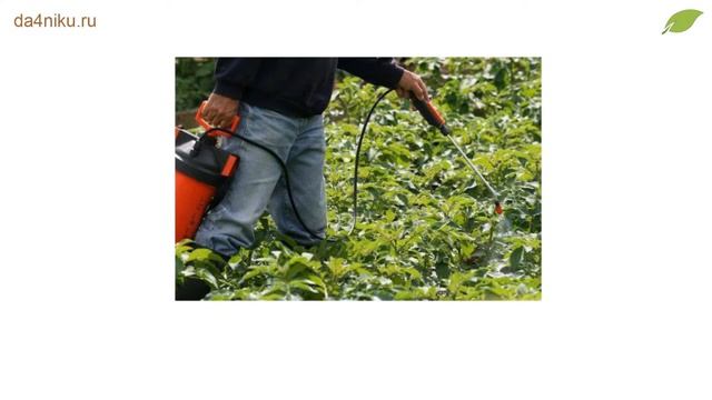 Лекция: как повысить плодородие почвы? смотреть онлайн