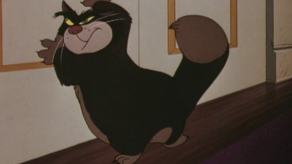 DME 29 Everyday life