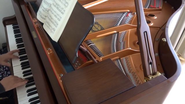 Playing Grand Piano (Pathetique Sonata 3) смотреть онлайн