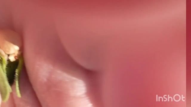 Уроки на Пришкольном Участке. Сбор Семян Петунии. смотреть онлайн