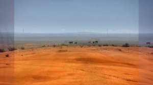 §30 "Не станет ли Земля пустыней?", Биология 5 класс, Сивоглазов, Плешаков.mp4