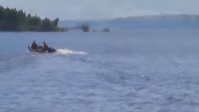 День MarFish 2013. смотреть онлайн