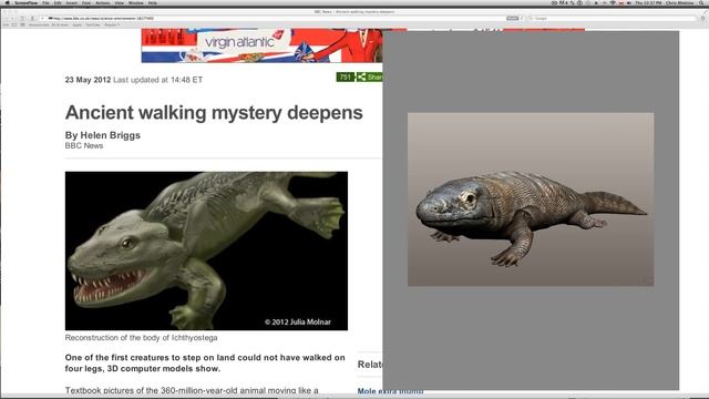 Ichthyostega смотреть онлайн