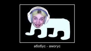 ДАША КОРЕЙКА / абобус амогус