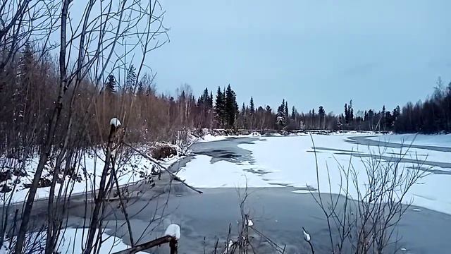 1 мая 2021 г. смотреть онлайн
