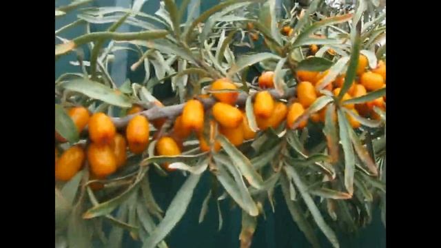 Дизайн и Оформление Сайтов