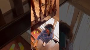 БЭЛАЦЭ И ХАС ?