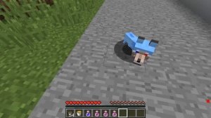 ?Нубик Кубик и Шеди Стали СОБАКАМИ и Затроллили ЛЕСКУ в Майнкрафте! 100% Троллинг Ловушка Майнкрафт