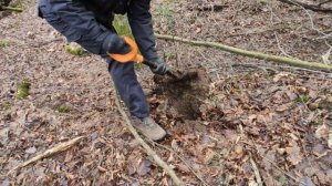 Тестируем Металлоискатель Minelab CTX 3030